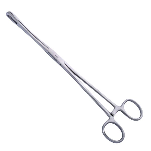 Rampley Sponge Holder - Andersen Caledonia